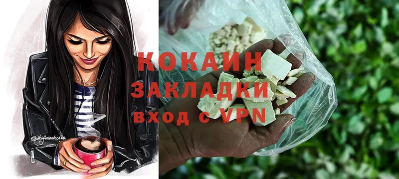 Cocaine FishScale  закладки  KRAKEN как войти  Луга 